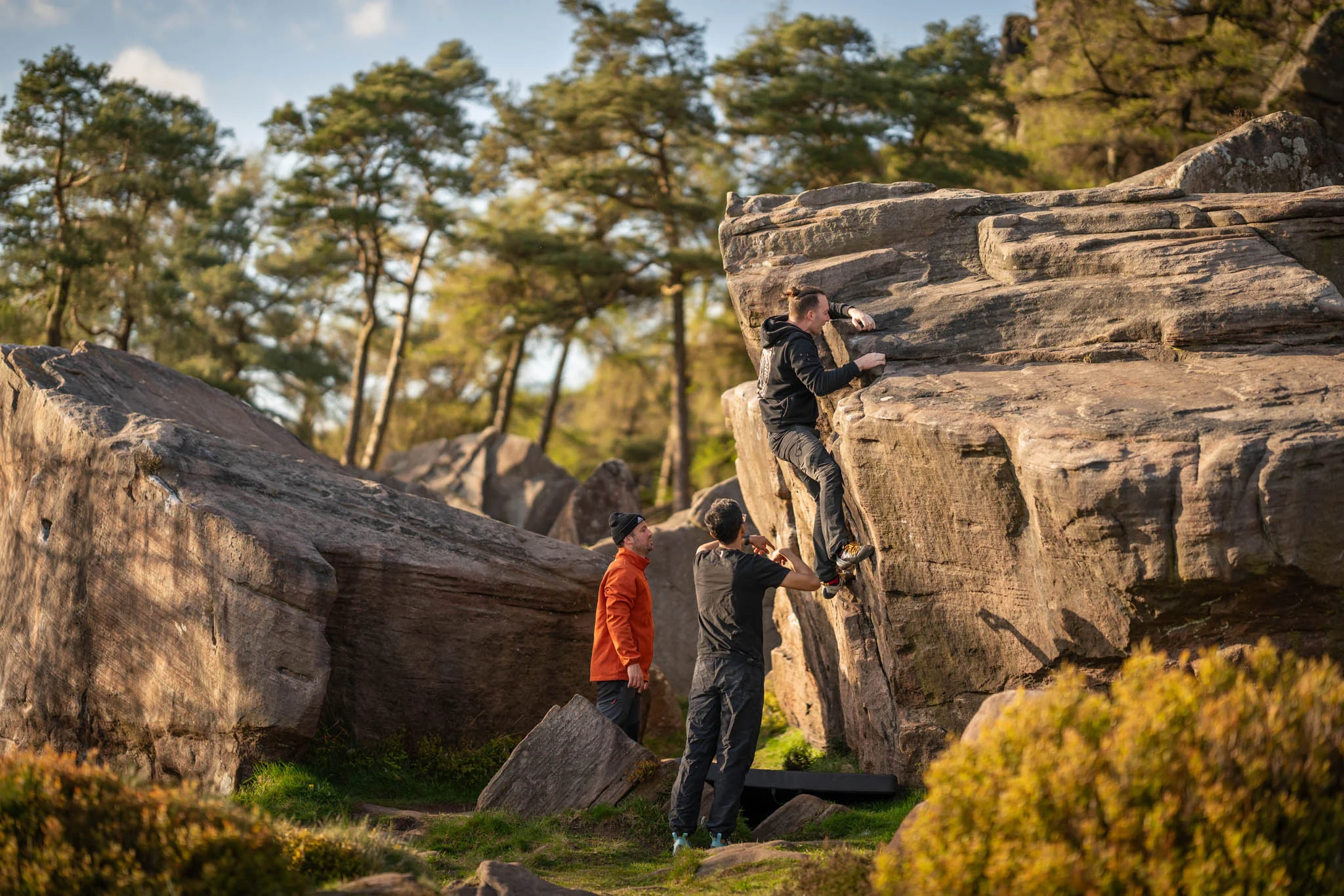 Elevate Your Vertical Journey